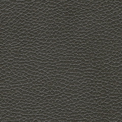 Ryversans PWR Recliner/ADJ Headrest