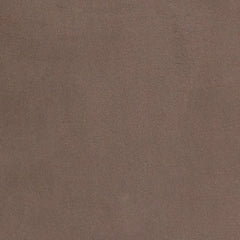 Jeshina Dining Chair (Set of 2)