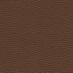 VonRyan PWR REC Sofa with ADJ Headrest