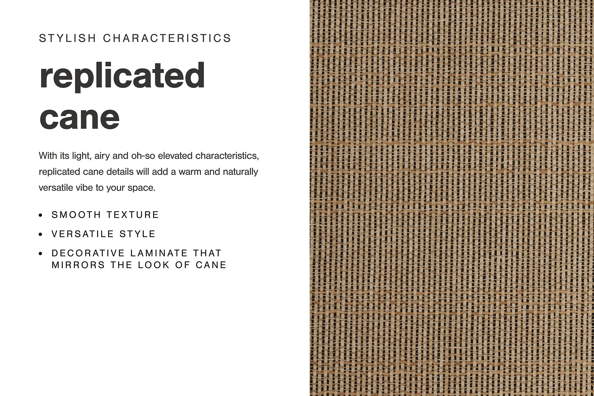 Cielden King Panel Bed with Mirrored Dresser and Nightstand