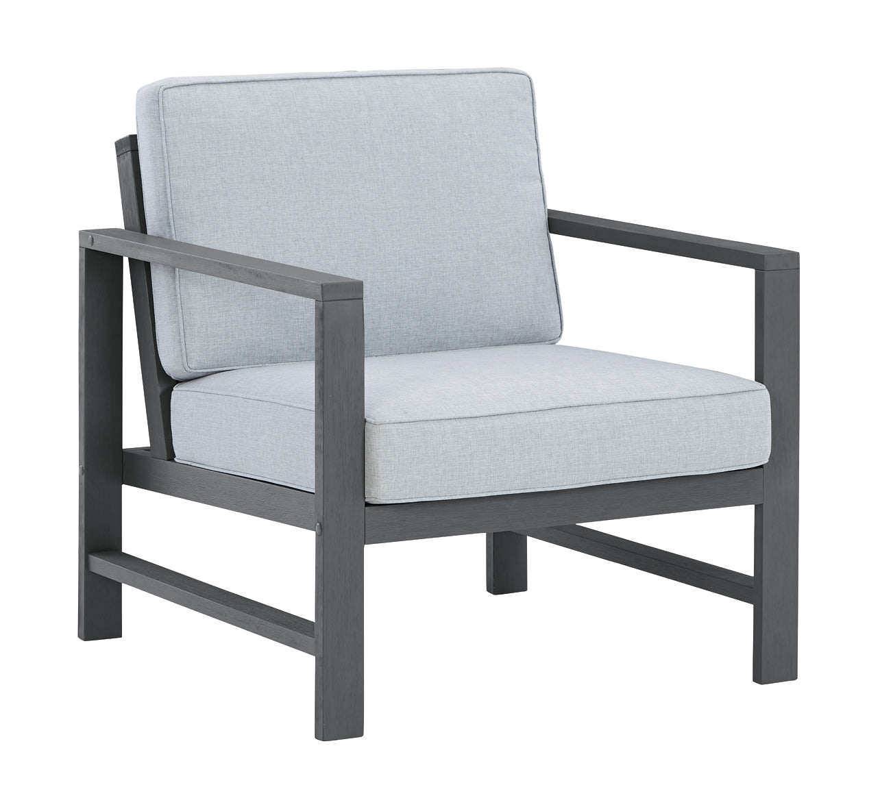 Fynnegan Lounge Chair w/Cushion (2/CN)