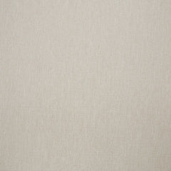 Aria Plains Arm Chair With Cushion (2/CN)